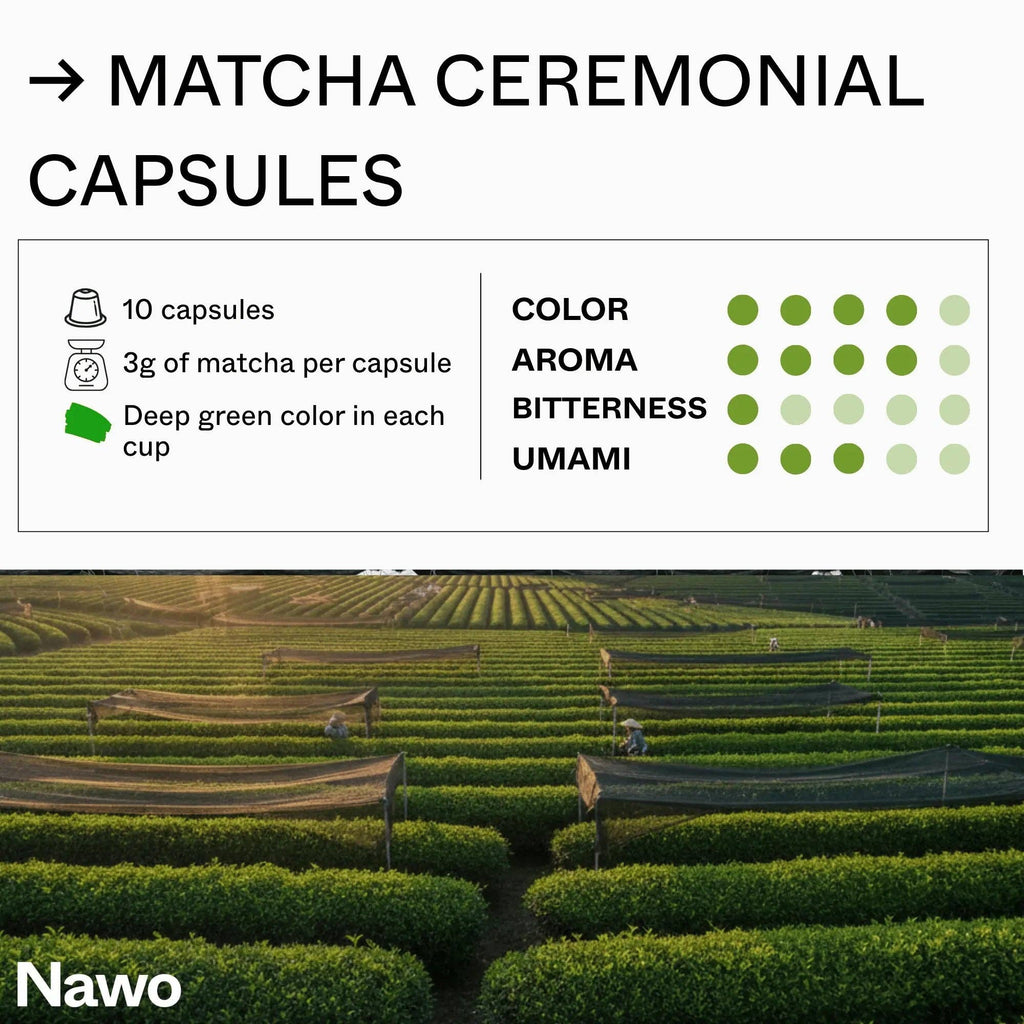 Capsule di Matcha Cerimoniale: 10 capsule