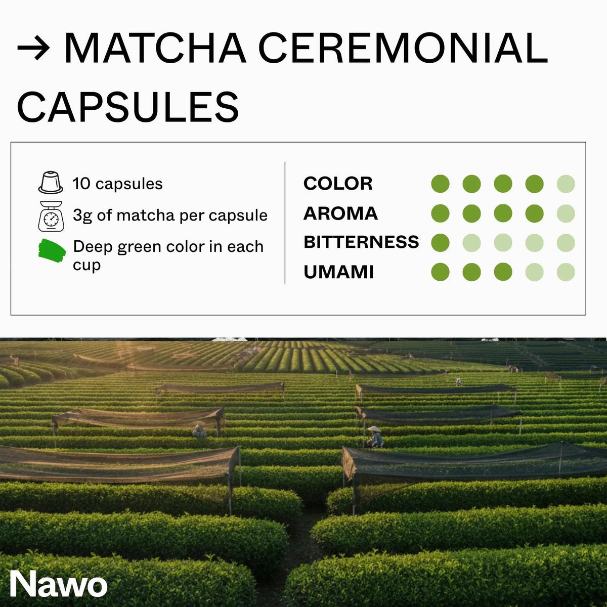 Capsule di Matcha Cerimoniale: 10 capsule