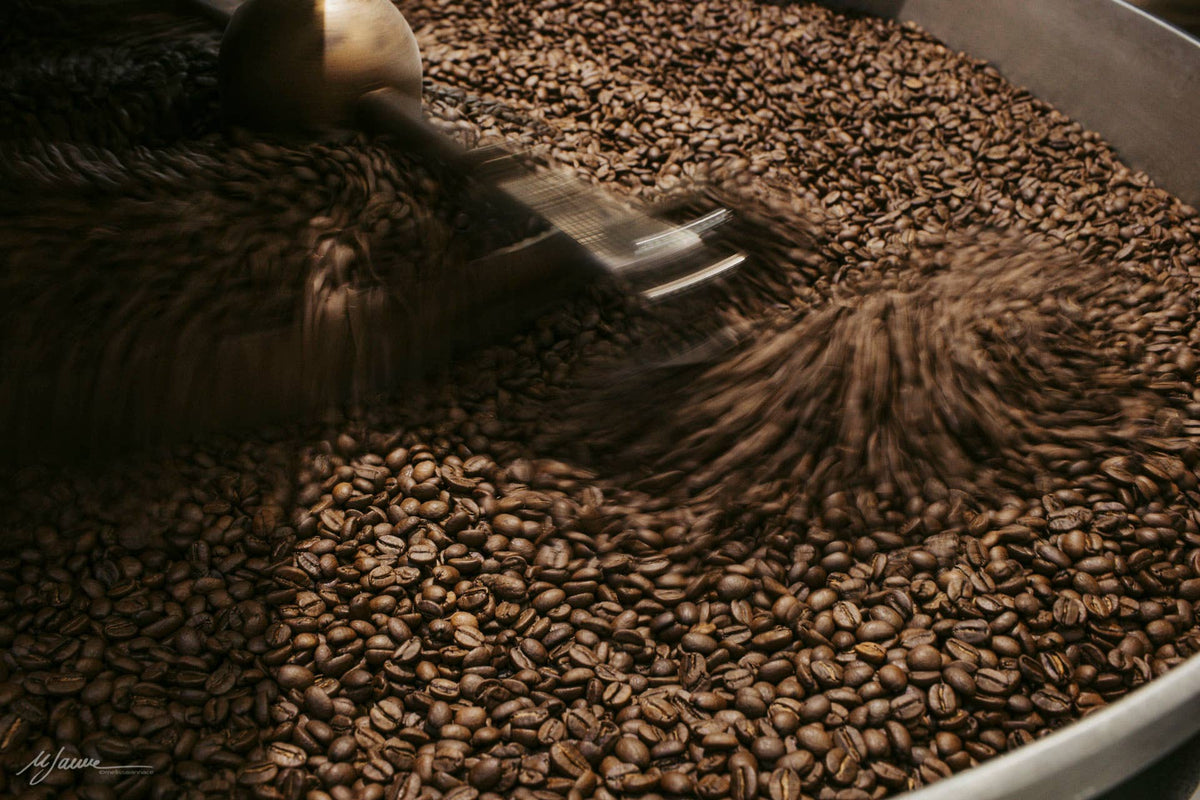 COCCOLOSA Miscela ricca e morbida, caffè in grani 250g