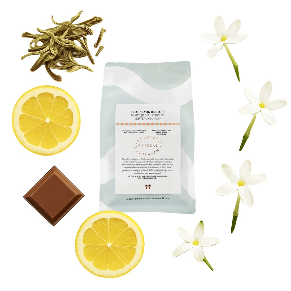 Black Lyon - Ethiopia decaffeinato in grani 250 gr
