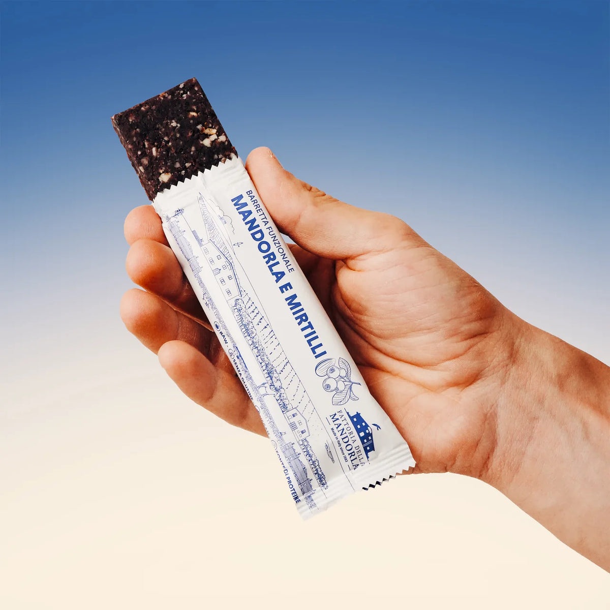 RAW BIO BAR - Mandorla e Mirtillo 48g