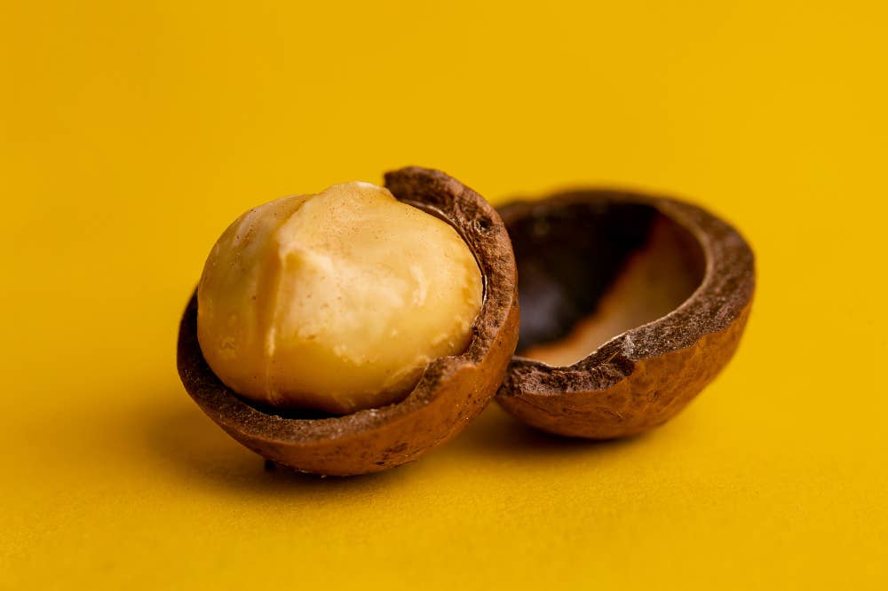 Noci di macadamia biologiche crude dall'Australia: 500 g - IN ARRIVO