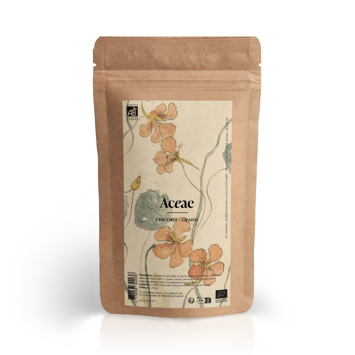 Cicoria Aceae Bio - Semi 250 g