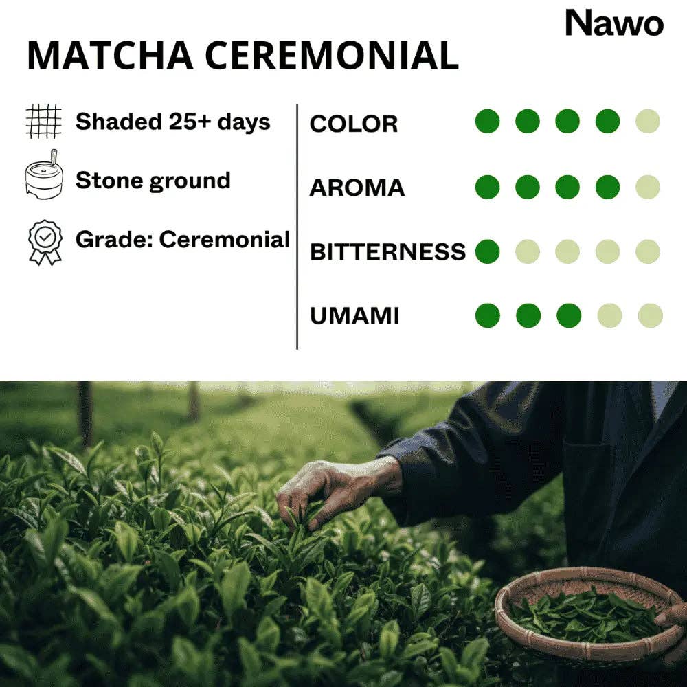 Tè Matcha Cerimoniale: 30g